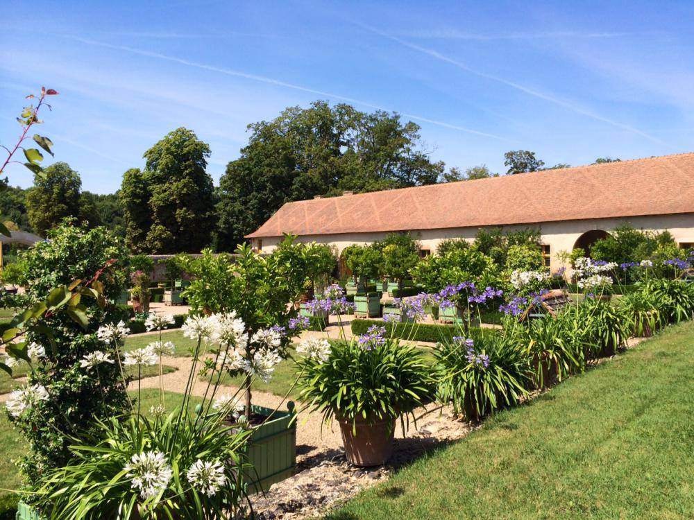 Déjeuner Buffet à l'Orangerie et Visite