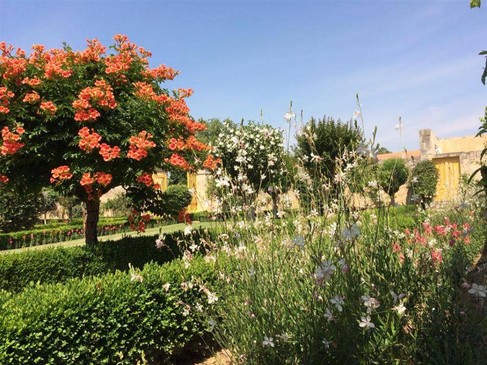 Déjeuner Buffet à l'Orangerie et Visite